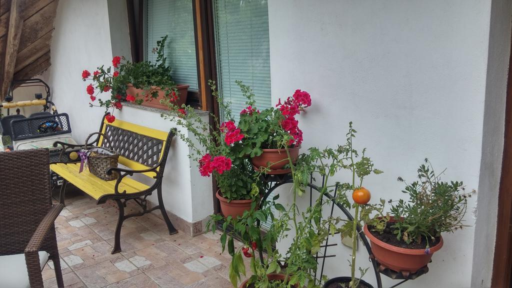 Darja Guesthouse Dob Luaran gambar