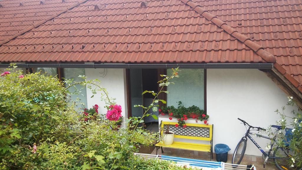Darja Guesthouse Dob Luaran gambar